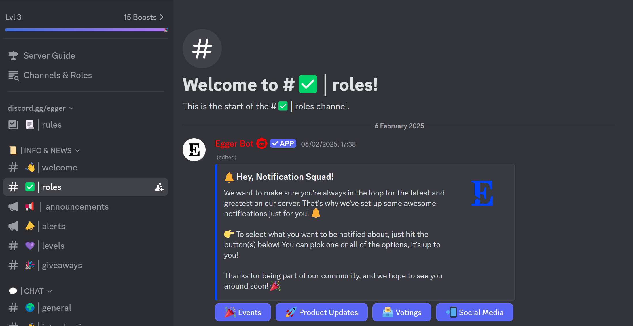 Another Screenshot of Discord Server